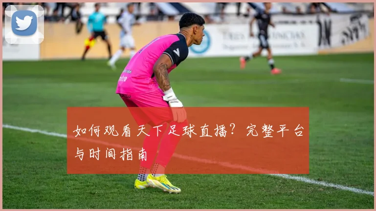 如何观看天下足球直播？完整平台与时间指南