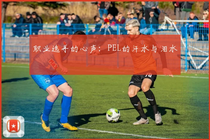 职业选手的心声:PEL的汗水与泪水