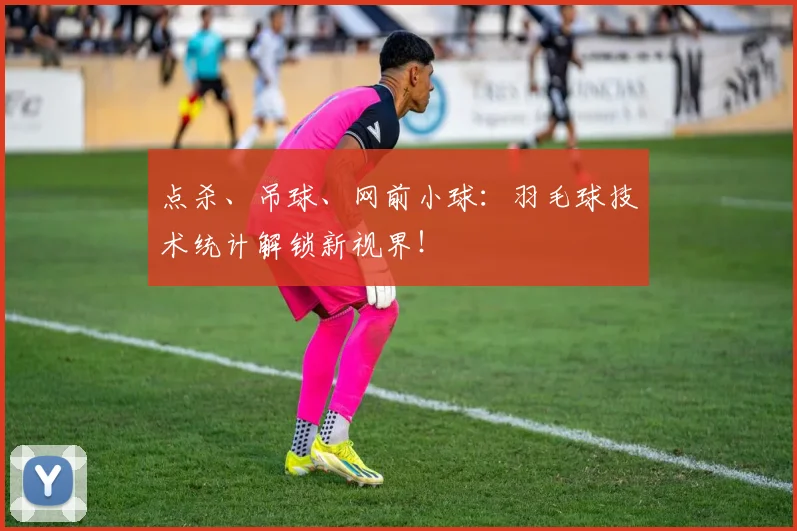 点杀、吊球、网前小球：羽毛球技术统计解锁新视界！