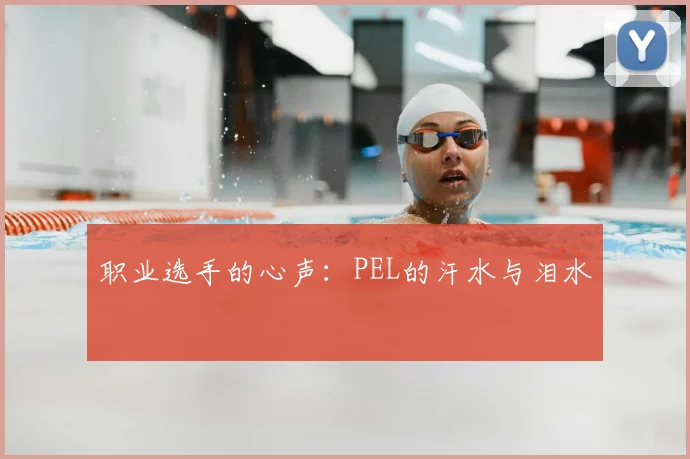 职业选手的心声：PEL的汗水与泪水